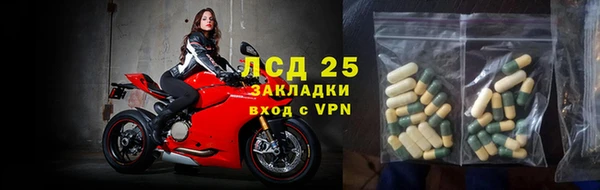 гидра Аркадак