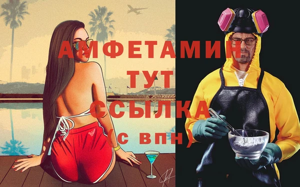 крисы Алзамай