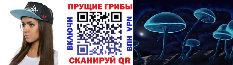 hydra зеркало  Шацк  Псилоцибиновые грибы Magic Shrooms  где купить  